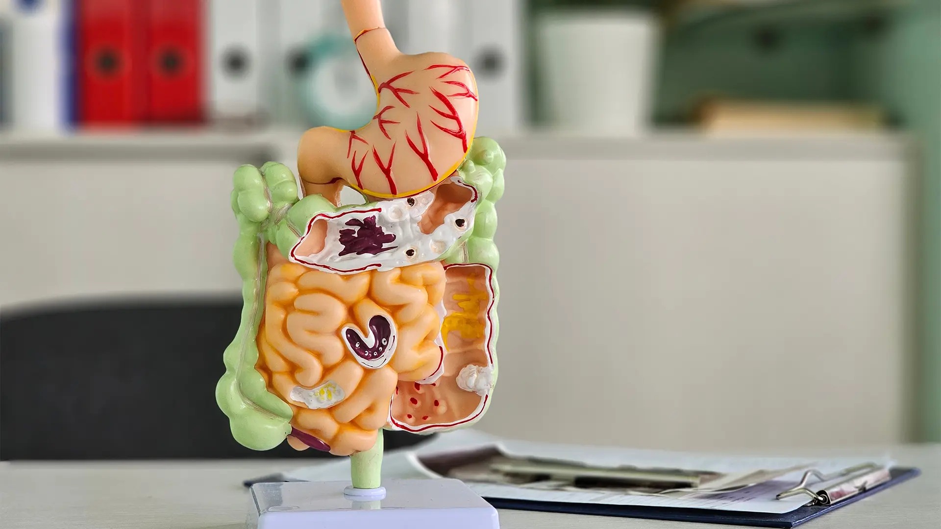 Cum îți verifici sănătatea digestivă